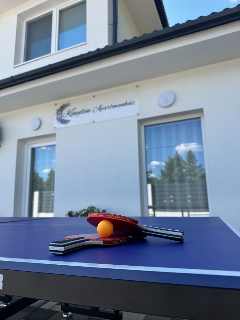 Pingpong asztal — 1
