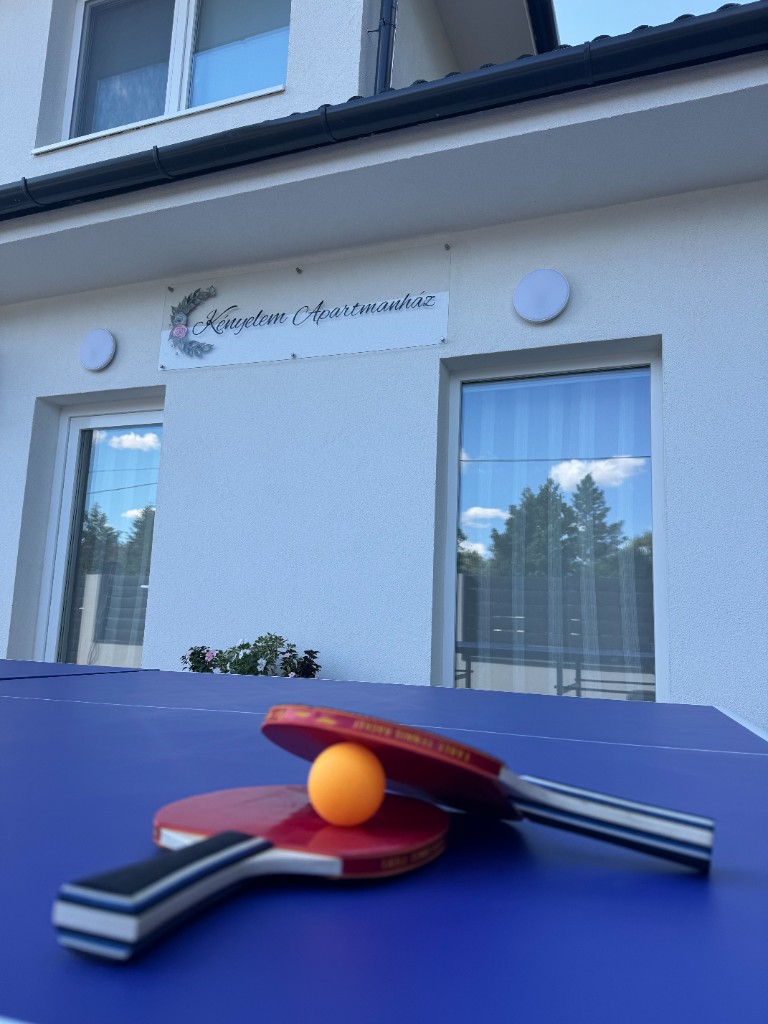 Pingpong asztal — 3